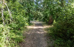 302 River Grove Drive, Cave Junction, OR 97523