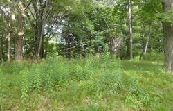Henry Road, Cragsmoor, NY 12420