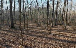 Highway 336 E, Clinton, AR 72031