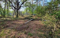 26140 OAK ALLEY Drive, Holden, LA 70744