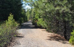 Tower Springs, Bly, OR 97622