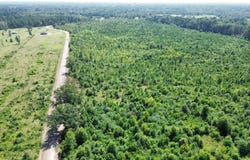 118 LR 27, Ashdown, AR 71822-0000