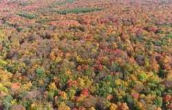 80 acres Co Rd 510, Ishpeming, MI 49849