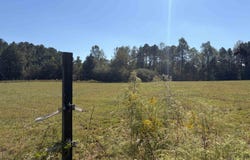 500 Mon Dye Rd, Phil Campbell, AL 35581