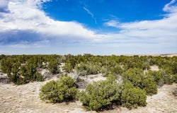 241 Morning Star Rd, Rye, CO 81069