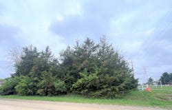 Kelley Road, Brooklyn, MI 49230