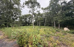Old Chatham Road, Brewster, MA 02631