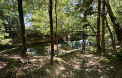 59 Union Hill Rd, Sunbright, TN 37872