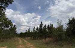 09 Barge Road, Lumpkin, GA 31815