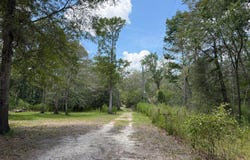 1587 NE 930th St, Old Town, FL 32680