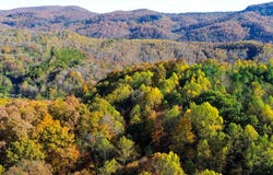 01 White Oak Rd., Duff, TN 37729