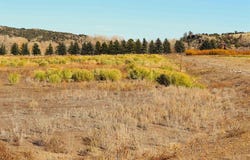 Park Drive, South Fork, CO 81154
