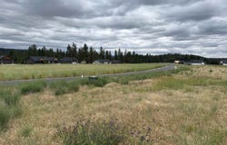 4207 E Molly Jean Ln, Chattaroy, WA 99003