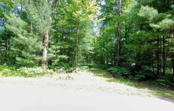 Red Oak Drive, Prescott, MI 48756