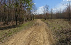 N Chippewa Road, Mount Pleasant, MI 48858