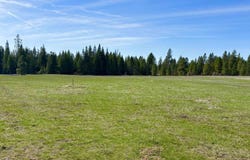 200 Brook Dr, Elk, WA 99009
