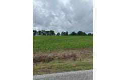 CANNON STORE RD, MCKENZIE, TN 38201