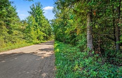 1 Mile Road, Morley, MI 49336