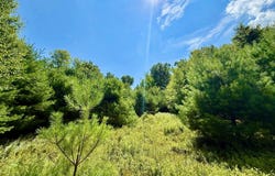Kerness Rd, Wawarsing, NY 12428