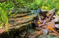 239 JUNCO Ln, Woodland, WA 98674