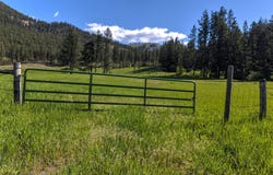 NHN Adams Street, Alberton, MT 59820