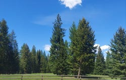 183 Washboard Drive, Condon, MT 59826