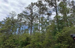 4120-1 Melanie St, Hastings, FL 32145