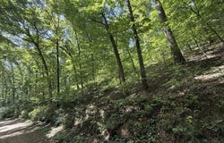 County Road 179, Dora, MO 65637