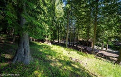 NNA Bay Dr, Sagle, ID 83860