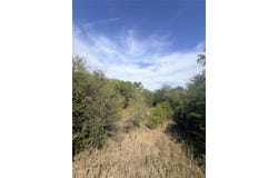 CR 3824, Wills Point, TX 75160
