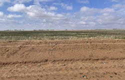 County Road 6200, Idalou, TX 79329
