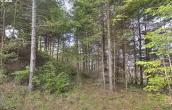 Seaview Ln, GoldBeach, OR 97444