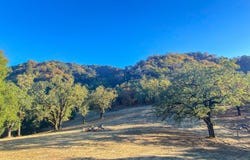 22 Arroyo Sequoia, CARMEL, CA 93923