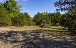 CR 476 lot: 7, Clarkridge, AR 72623