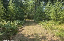 10652 N River Road, Irons, MI 49644