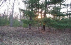 Indian Oaks Lot 1, Prudenville, MI 48651