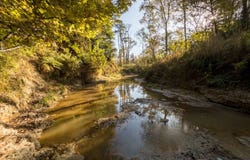 Rodney Road lot: #Wp002, Port Gibson, MS 39150