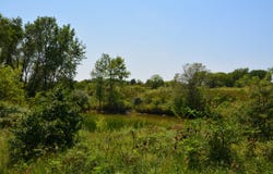 E 63rd Rd, Lecompton, KS 66050
