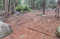 5 Yana Trail, Graeagle, CA 96103