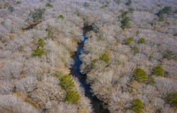 Highway 106, Brantley, AL 36009