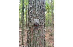 Estes Road, Louisville, MS 39339