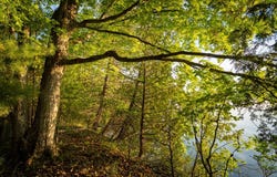Logerquist Rd lot: 5, Baileys Harbor, WI 54202