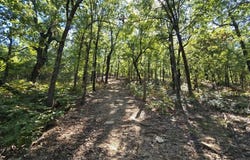 D233rd Street S, Webbers Falls, OK 74470