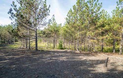 2 Crosscut Way, Davis, WV 26260