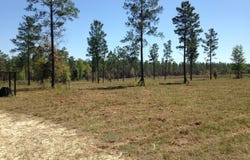 Vacant NE Mango Avenue, Lee, FL 32059