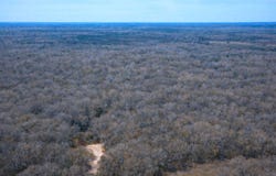 Highway 106, Brantley, AL 36009