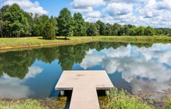 7202 River Road, Iuka, IL 62849