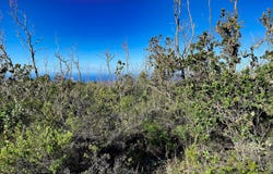 TIKI LN, Ocean View, HI 96737