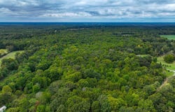 State Route 534, Symsonia, KY 42082