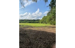 13072 Capace Rd, Independence, LA 70443